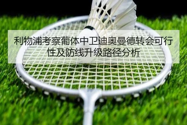img_1781726805813_1844_1_949.jpg